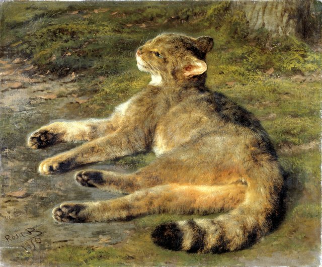 Wild Cat by Rosa Bonheur