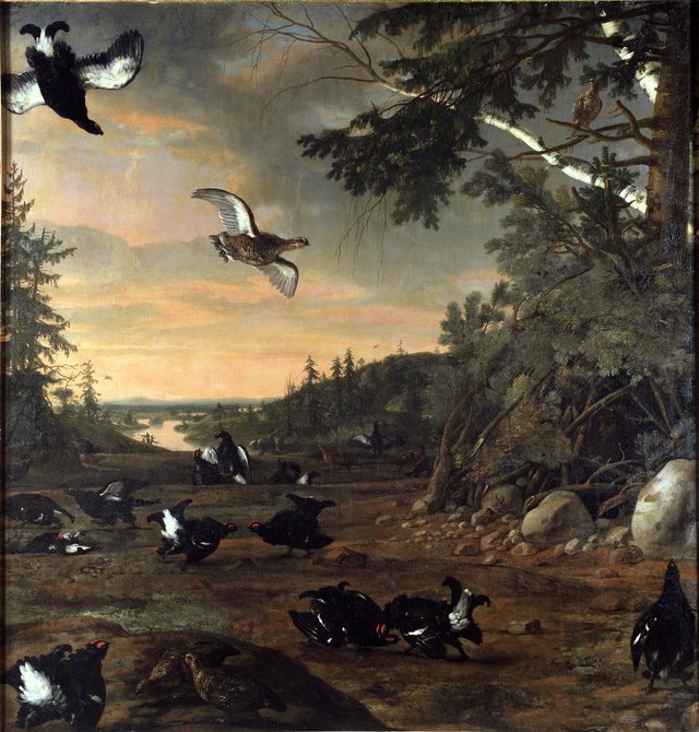 Black Cocks at Ground by David Klöcker Ehrenstrahl