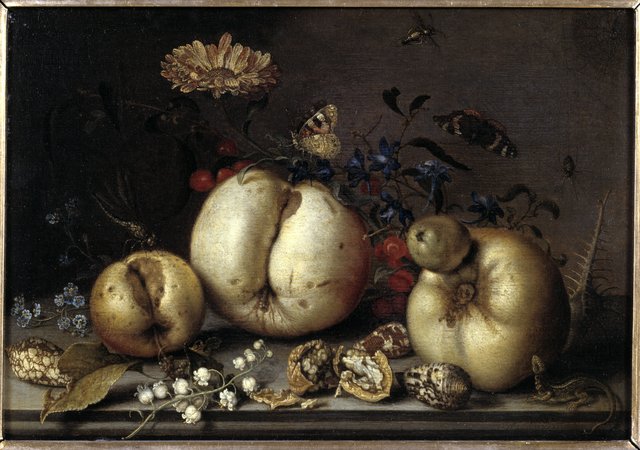 Still Life with Fruit and Shells by Balthasar van der Ast