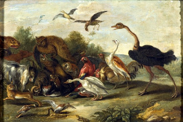 Battle between Owls and Quadrupeds by Jan van Kessel the Elder