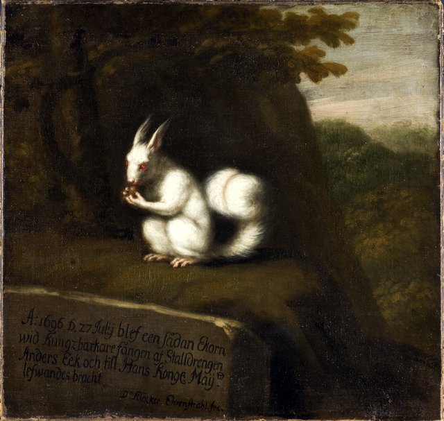 White Squirrel in a Landscape by David Klöcker Ehrenstrahl