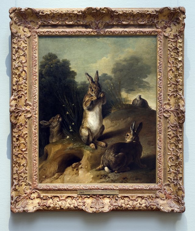 Rabbits by Alexandre-François Desportes