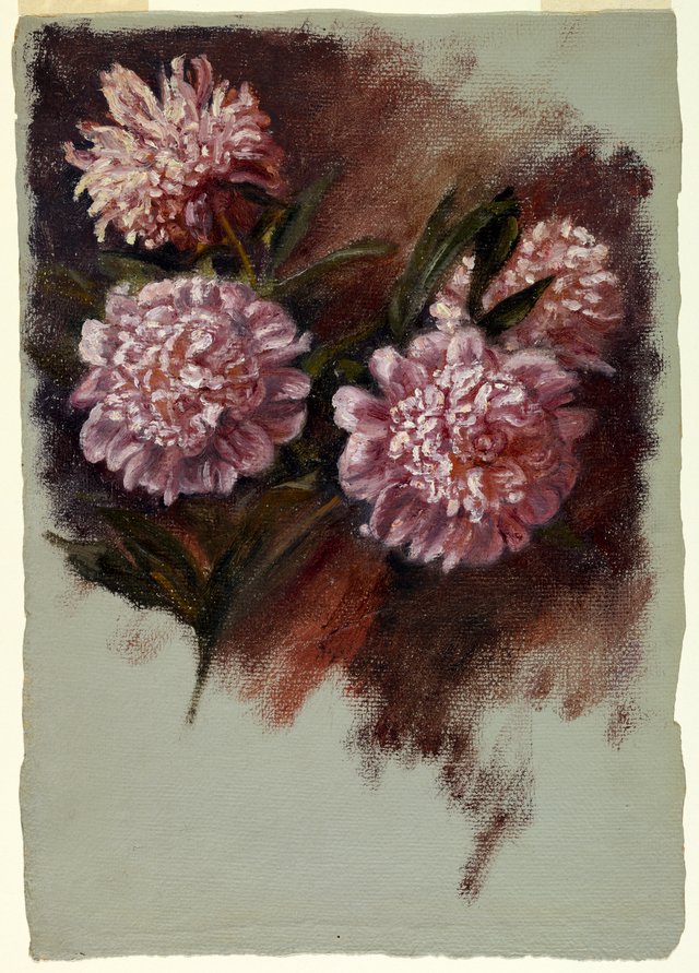 Red Peonies by Samuel Colman
