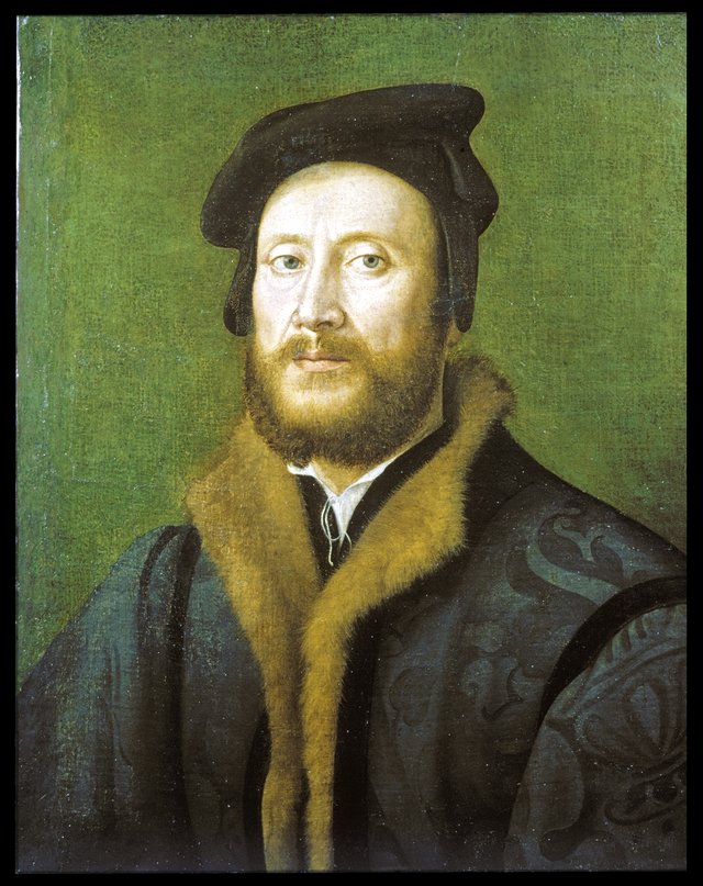 Portrait of a Bolognese Gentleman in a Fur-lined Coat by Giuliano Bugiardini