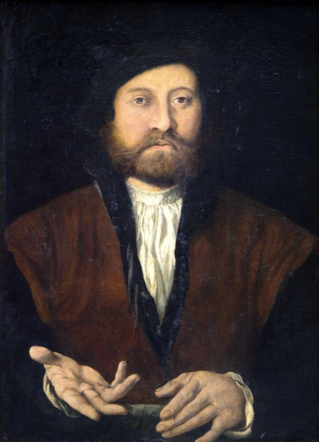 Portrait of a Man by Jan Cornelisz Vermeyen