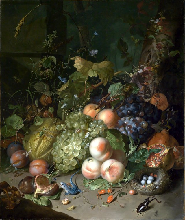 Fruit, a nest, a lizard and insects in a wood by Rachel Ruysch