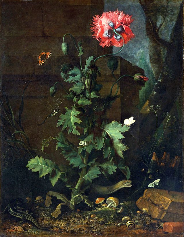 Still Life with Poppy, Insects, and Reptiles by Otto Marseus van Schrieck