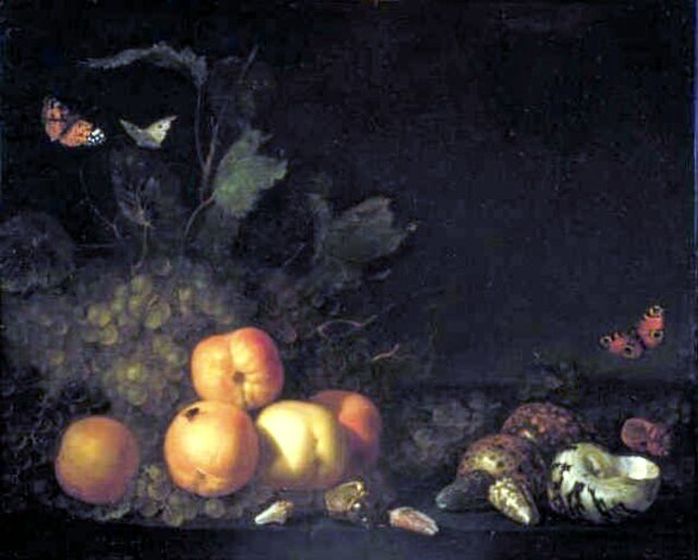 Still Life with Fruit and Shells by Abraham van Calraet