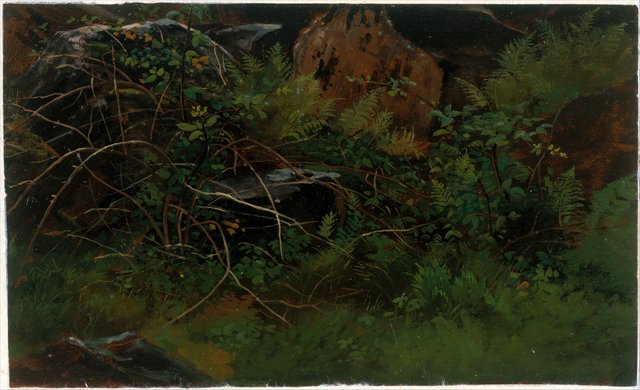 Study from Nature by William Stanley Haseltine