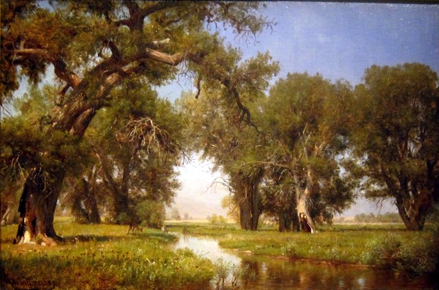 On the Cache la Poudre River, Colorado by Worthington Whittredge