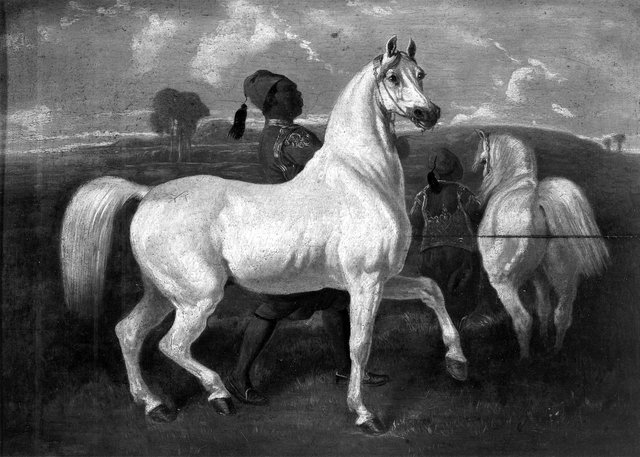 Arabian Horses by Eugène Fromentin