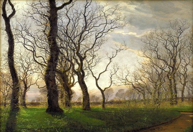 I udkanten af en egeskov en tidlig forårsmorgen by Janus la Cour