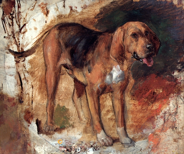 Study of a bloodhound by William Holman Hunt