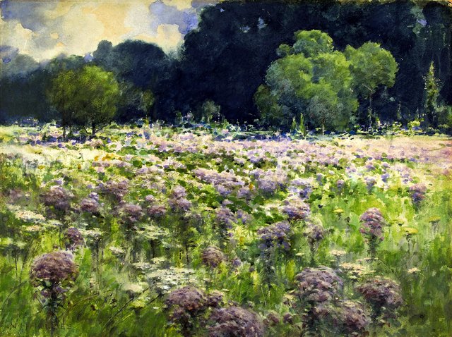 Field of Joe Pie Weeds (Pride of the Meadow) by William Henry Holmes