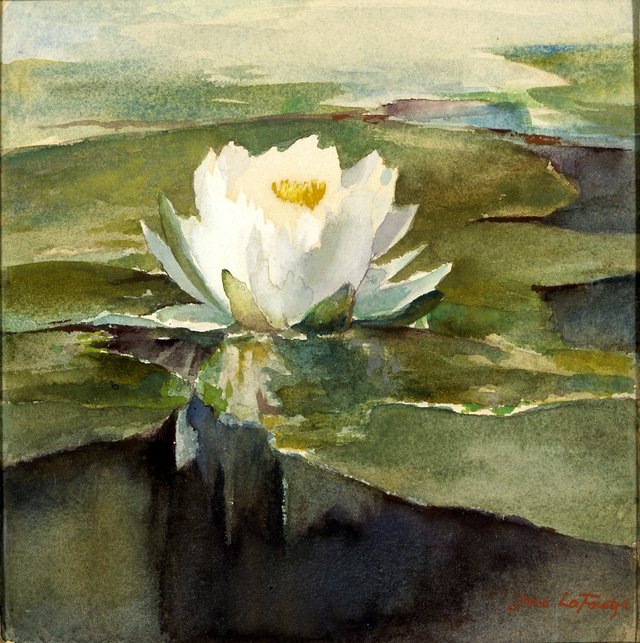 Water Lily in Sunlight by John La Farge