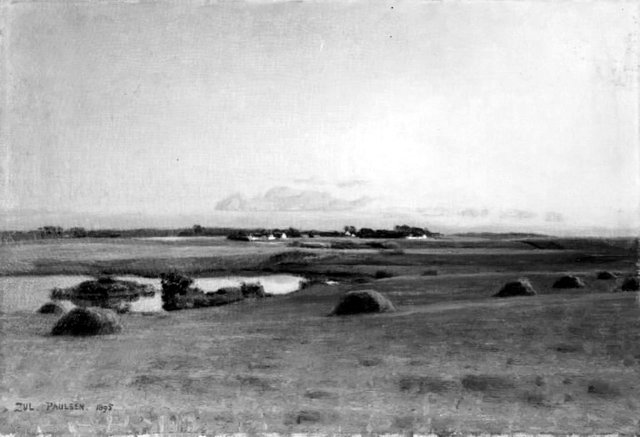 Landskape near Stavnsholt, Zealand. Summer Evening by Julius Paulsen
