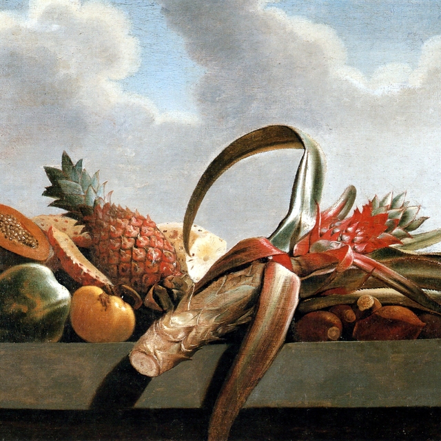 Pineapple, papaya and other fruit by Albert Eckhout