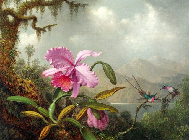 Orchids and Hummingbirds by Martin Johnson Heade