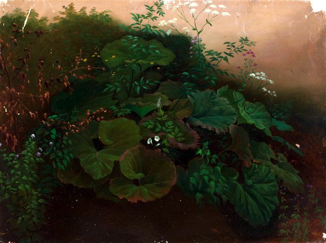 Kasveja, harjoitelma - A I 456-7 - Finnish National Gallery by Nils Blommér