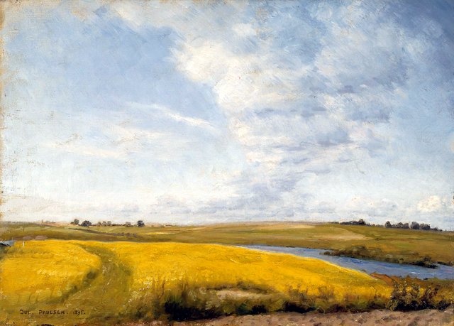 Sinappipelto - A IV by Julius Paulsen