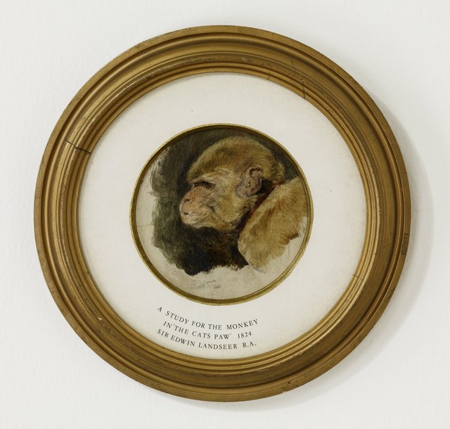 Study for the Monkey in "The Cat's Paw" by Edwin Landseer
