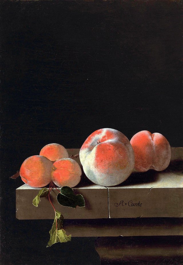 Peaches and apricots on a stone ledge by Adriaen Coorte