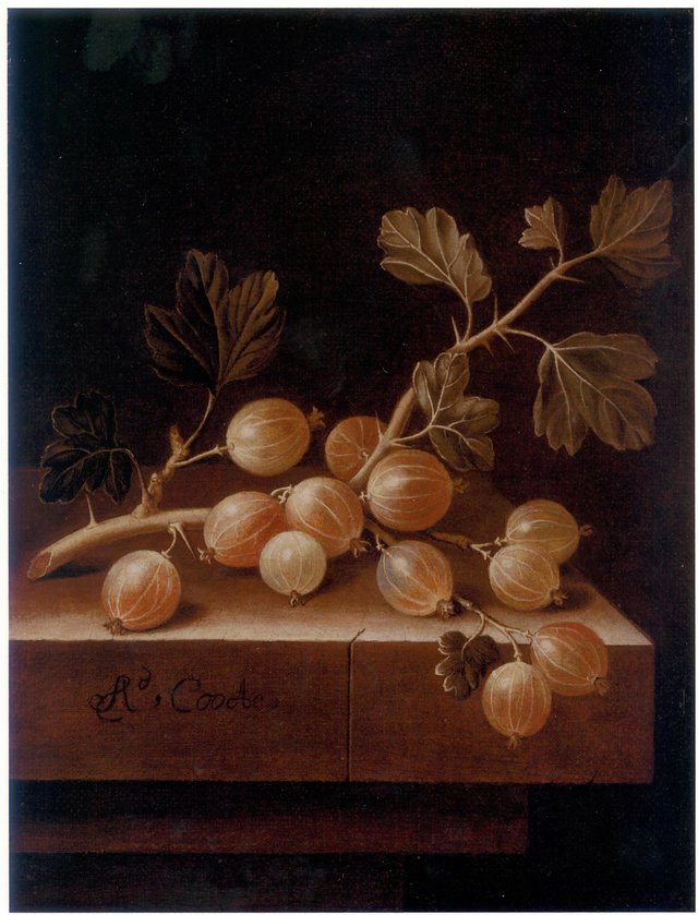 Gooseberries by Adriaen Coorte