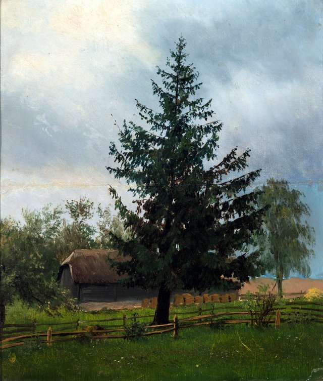 Spruce by Ferdynand Ruszczyc