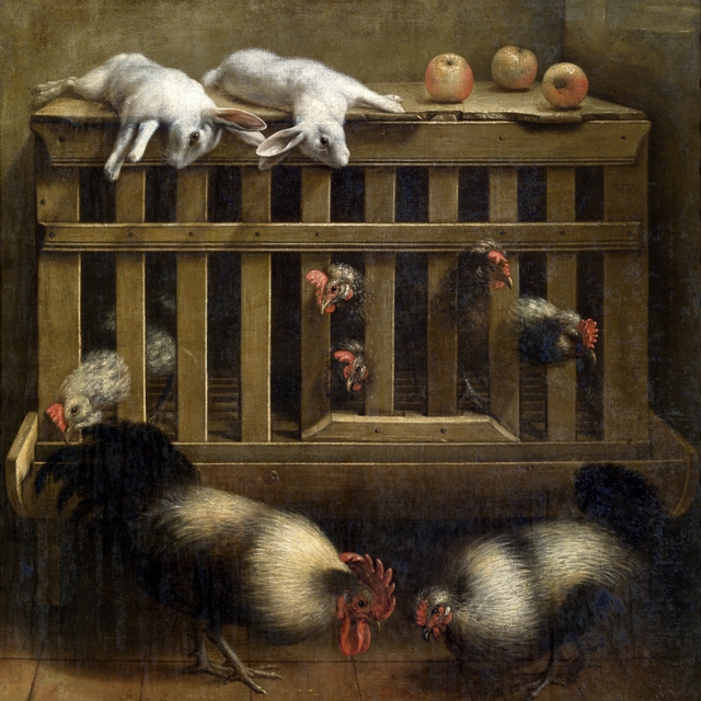 Fighting Cocks by Jacob Biltius