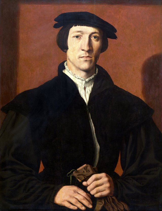Portrait of a Man by Jan Cornelisz Vermeyen