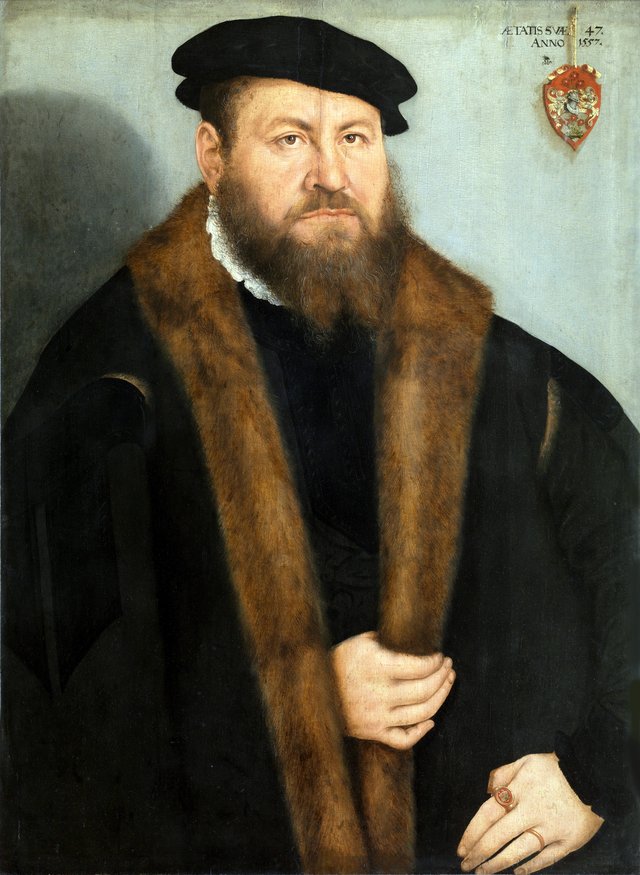 Portrait of a Man by Lucas Cranach the Younger
