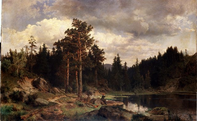 Woodland in Norway by Morten Müller