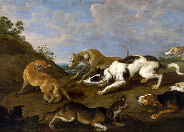 Fox hunting by Paul de Vos