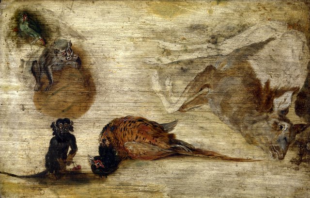 Study of monkeys, a deer and other animals by Jan Brueghel the Younger