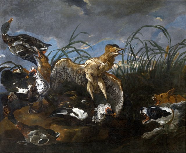 Bittern and Ducks Startled by Dogs by Jan Fyt