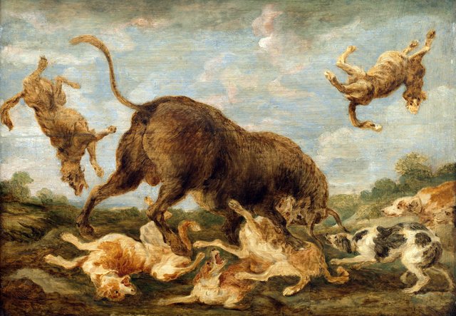 Buffalo attacked by dogs by Paul de Vos