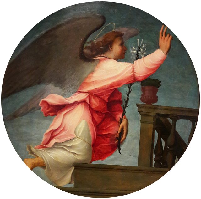 Angel from the Annunciation by Franciabigio