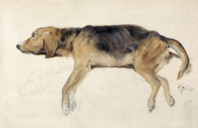 Study of a Dog Lying Down by Edwin Landseer