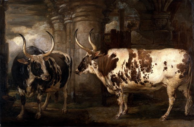 Portraits of two extraordinary oxen, the property of the Earl of Powis by James Ward