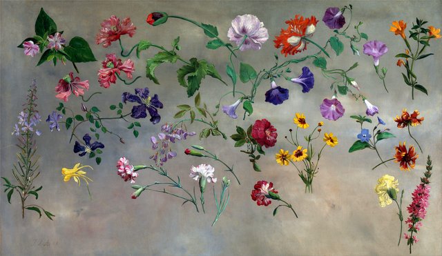 Studies of Flower by Jacques-Laurent Agasse
