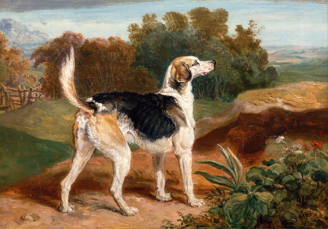 Ravager, One of the Lambton Hound by James Ward