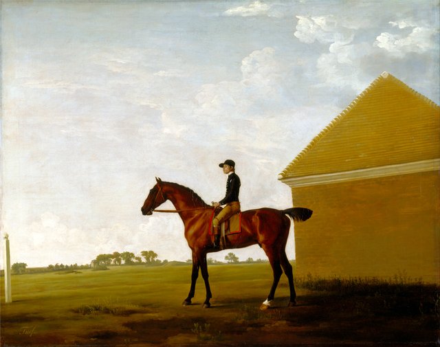 Turf, with Jockey up, at Newmarket by George Stubbs