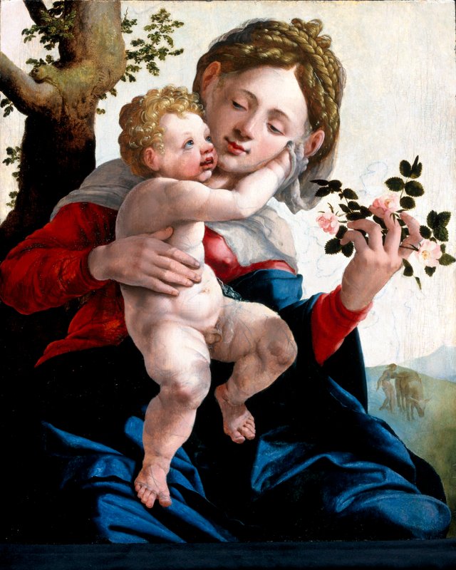 The Virgin with wild roses by Jan van Scorel