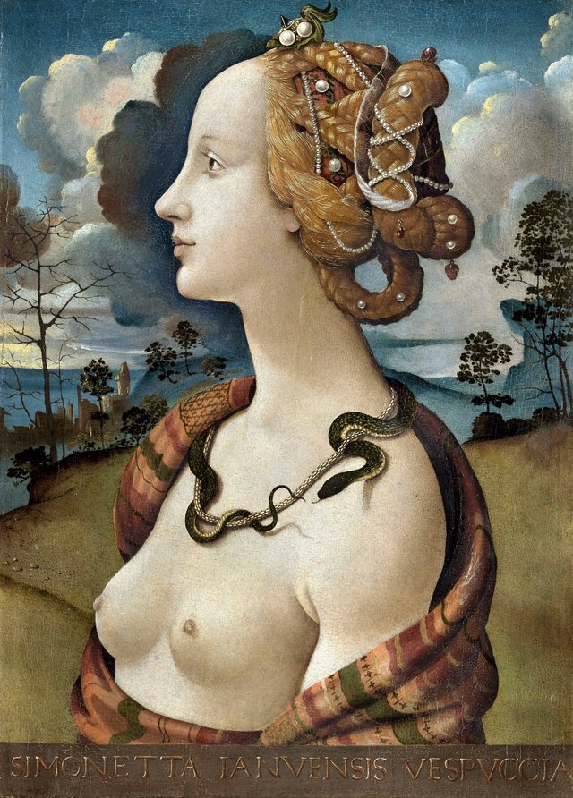 Portrait of Simonetta Vespucci by Piero di Cosimo