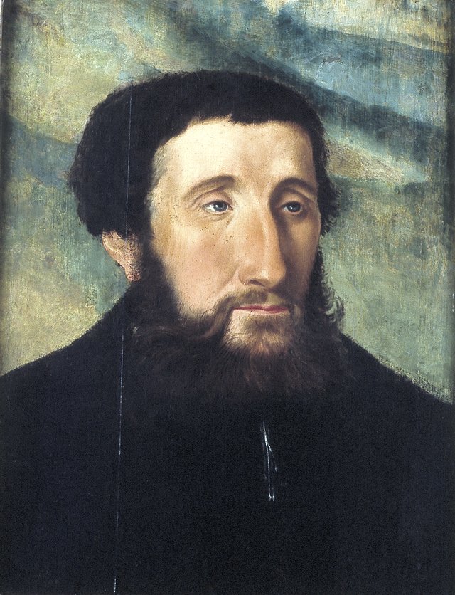 Portrait of a Man by Jan Cornelisz Vermeyen