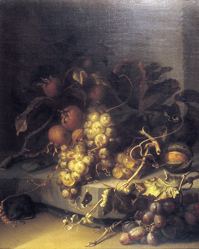 Stilleven met druiven, mispel en een muis by Jacob van Walscapelle