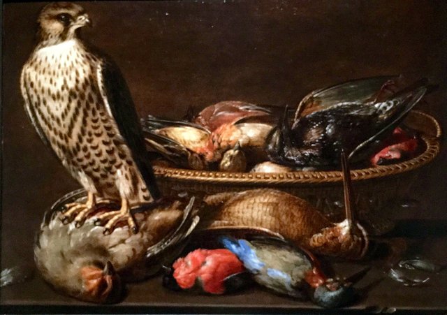 Stilleven met een slechtvalk op zijn prooi by Clara Peeters