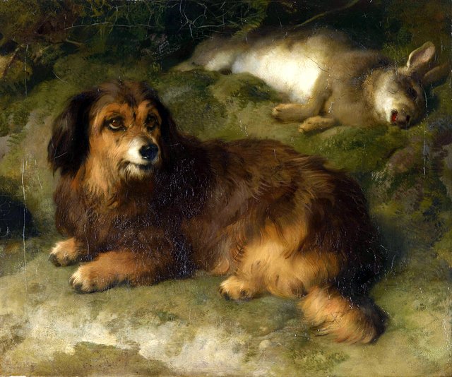 Boz by Edwin Landseer