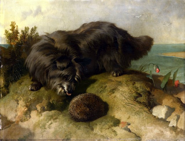 Dandie Dinmont by Edwin Landseer