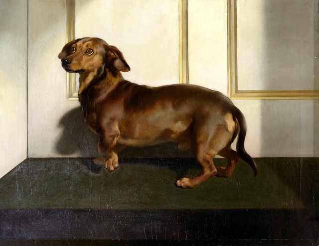 Däckel by Edwin Landseer
